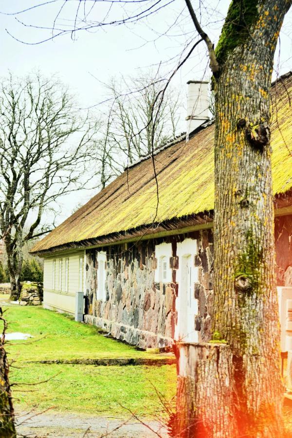 Vanatoa Taluhotell Koguva Экстерьер фото