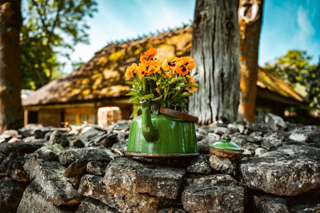 Vanatoa Taluhotell Koguva Экстерьер фото